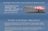 Energy Security 2014