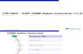 Crm Sales Overview
