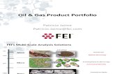 Oil & Gas FEI Product Portfolio