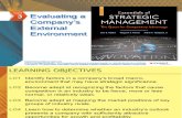 Essentials of Strategic Management Chapter 3