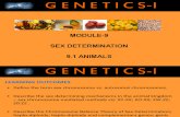 Sex Determination in Animals