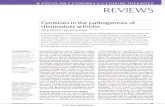 Nature Reviews Immunology Volume 7 issue 6 2007 [doi 10.1038%2Fnri2094] McInnes, Iain B.; Schett, Georg -- Cytokines in the pathogenesis of rheumatoid arthritis.pdf
