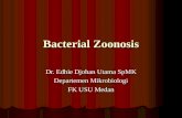K10 Bacterial Zoonosis