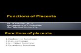 Functions of Placenta