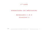 ESSENTIEL 1 - Revision Modules 1-3.pdf