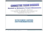 Immune-Mediated Connective Tissue Diseases