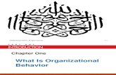OB11_01st What is Organizational Behavior