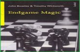 Endgame Magic Beasley J Whitworth T