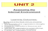 Unit 2 - Assessing the Internal Environment (Revised - Sept 2013) (1)