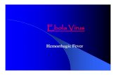 Ebola virus information.pdf