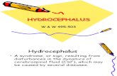 HYDROCEPHALUS (1).ppt