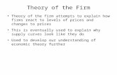 7 - Theory of the Firm (Edited)