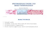 bakteriologi 2013.pdf