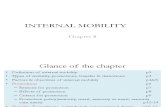 Internal Mobility- Policy & Practise