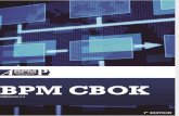 Abpmp CBOK Guide English