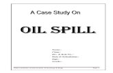 oil spill 1