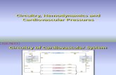 Circuitry, Hemodynamics and Cardiovascular Pressures