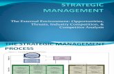 Strategic Management -The Enviroment