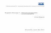 Electromagnetic environment - EG 07 - Final report.pdf