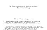 IP Datagram Forwarding
