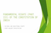 Fundamental Rights P3