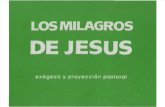 Carrillo Alday Salvador - Los Milagros de Jesus