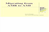 Migrating From Amr to Ami