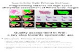 Automatic Quality Assessment of Whole Slide Images