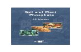Johnston--soil & Plant Phosphate