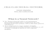 Cellular Neural Network.....