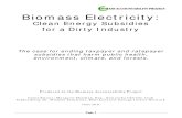 Biomass Electricity Report