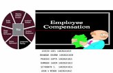 Human resource management - Employee Compensation