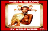 Voices of the Dawn eBook