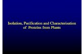 IsolationPurificationCharacterisation of Plant Proteins VTK2010
