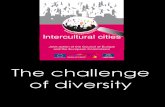 Intercultural Cities Presentation En