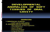 developmental anamolies of soft tissues of oral cavity