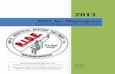 03 - RIDE Magnegress Override-Brake Supplement Procedures Ver 2013-04-02