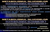 7 Catabolism Glucide - Glicoliza