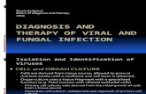 Basic Diagnostic of Fungal and Viral Infection
