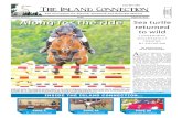 The Island Connection - August 1, 2014