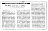 1988 Issue 8 - What is Calvinism?: Dialogue XVIII, Church Government - Counsel of Chalcedon