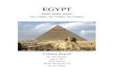 Egypt Research 2014