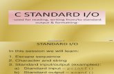 c Programming Standard i o Print Fs Can f