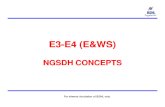 Ch1 e3 e4 Ews Ngsdh Concepts