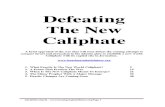 Defeating the New World Caliphate