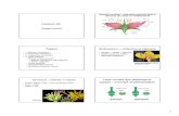 Lecture 24. Flower-contd