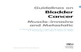 Muscle Inv & Metastatic BC 2010