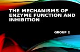 The Mechanisms of Enzyme Function and Inhibition (1)