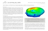 Medical SIMULIA Tech Brief 07 Simulation of EEG Full