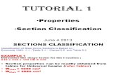 Tutorial 1- Properties and Section Classification